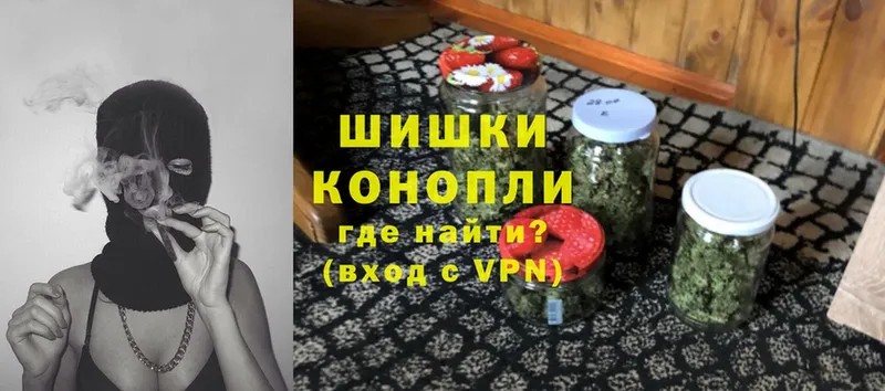 Бошки марихуана LSD WEED  купить наркоту  Шуя 